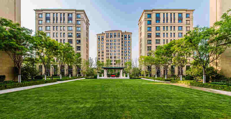 DSC_4993-10_副本.jpg DSC_4993-10_副本.jpg